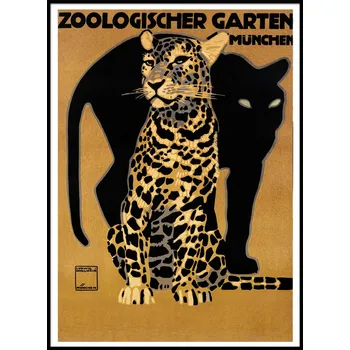 Obraz Plakát Pantera Divoké kočky bez rámu 50 x 70 cm