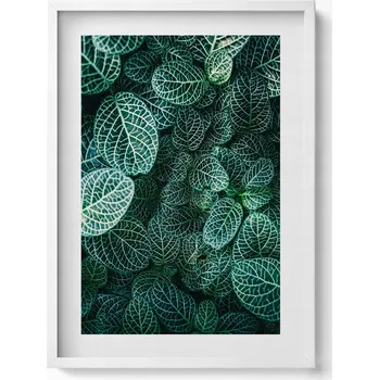 Obraz Nástěnný dekorativní obraz v rámu s grafikou Zelené divoké listy 50x70 cm