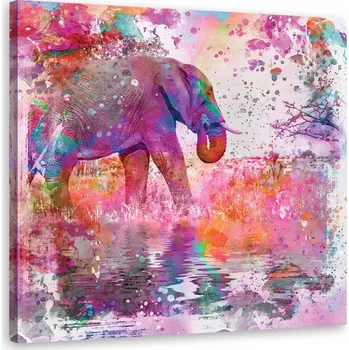Obraz Obraz Slon mezi barvami - Andrea Haase 30x30