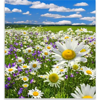 Kuchyňské prkénko Skleněná Ochranná Deska a Krájecí Prkénko | Indukce, Sporák ds-0514