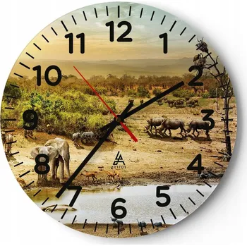 Hodiny Kuchyňské nástěnné hodiny 30x30 Savanna Moderní skleněné hodiny do obýváku Tiché