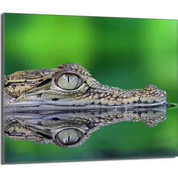 Kuchyňské prkénko Krájecí deska TMK ArtDeko sklo 1 ks