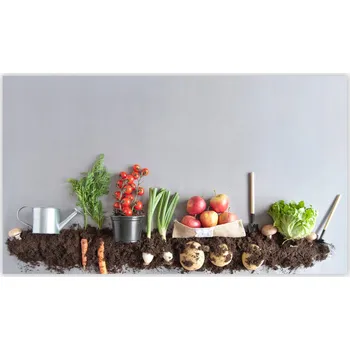 Kuchyňské prkénko Skleněná Ochranná Deska a Krájecí Prkénko | Indukce, Sporák ds-0522