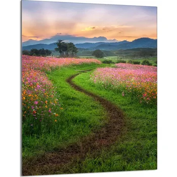 Kuchyňské prkénko Krájecí deska TMK ArtDeko sklo 1 ks