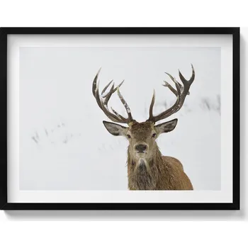 Obraz Dekorativní nástěnný obraz s rámem a grafikou loft - Ušlechtilý jelen, 80x60 cm