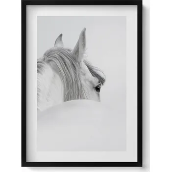 Obraz Obraz v černém rámu dekorace na zeď Andaluský kůň v mlze 50x70 cm