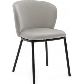 Jídelní židle Židle New Home velur šedá 1 ks