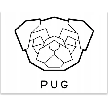 Kuchyňské prkénko Skleněná Ochranná Deska a Krájecí Prkénko | Indukce, Sporák ds-0181
