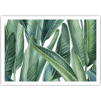 Obraz Plakát na zeď bez rámu 100x70 listů obraz plakáty do obývacího pokoje ložnice