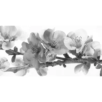 Tapeta Ozdobný samolepicí pásek na zeď Border 25cm/2m