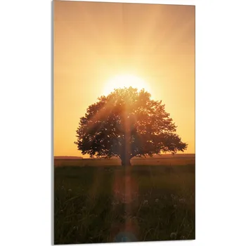 Kuchyňské prkénko Krájecí deska TMK ArtDeko sklo 1 ks