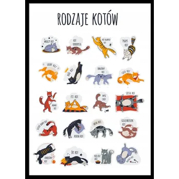 Obraz OBRAZ PLAKÁT V RÁMU Druhy Koček KOČKY vtipné pro milovníky koček P2419_43x53