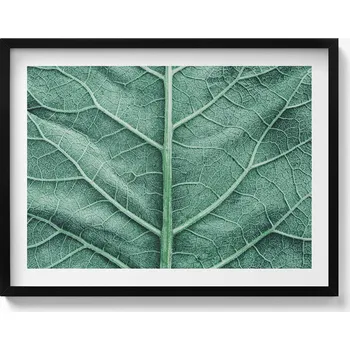 Obraz Dekorace obraz s grafikou v krásném rámu Detail žilnatiny listu 80x60 cm