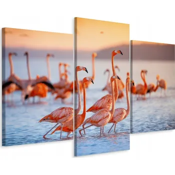 Obraz Obraz Triptych PATKY Plameňáci nad vodou 3D 60x40