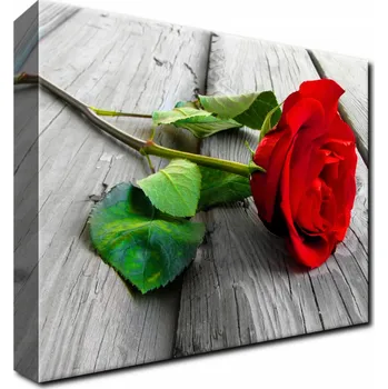 Obraz FOTO OBRAZ do pokoje obýváku 40x30 Červená růže