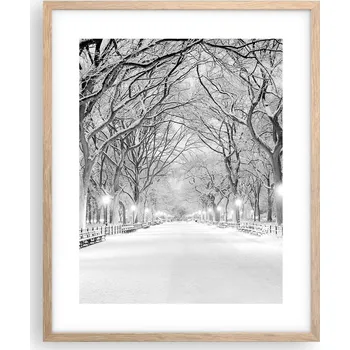 Obraz Obraz plakát na zeď v rámu světlý dub 40x50 sníh foto plakáty do obývacího pokoje