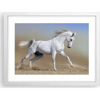 Obraz Obraz plakát v bílém rámu do obýváku 40x30 kůň foto plakáty na zeď