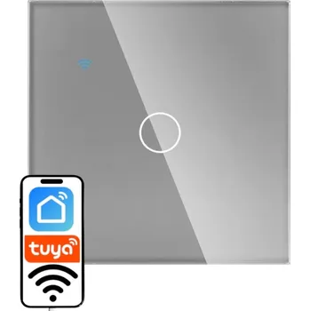 vypínač SKLENĚNÝ WIFI VYPÍNAČ SVĚTLA STŘÍBRNÝ ŠEDÝ JEDNODUCHÝ 1G TUYA SMART FI60