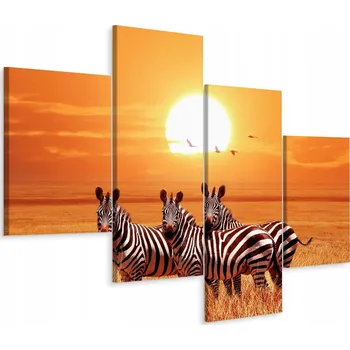 Obraz Obraz Čtyřdílný ZEBRY Ptáci Slunce Příroda 80x50