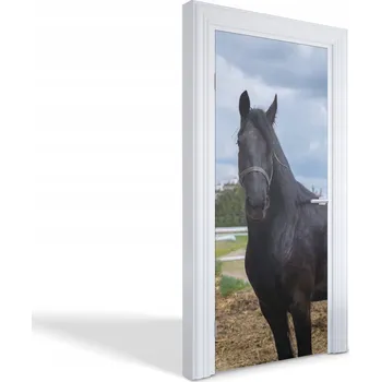 Fototapeta Fólie do kuchyně obývacího pokoje a pokoje Černý kůň 95x205 cm