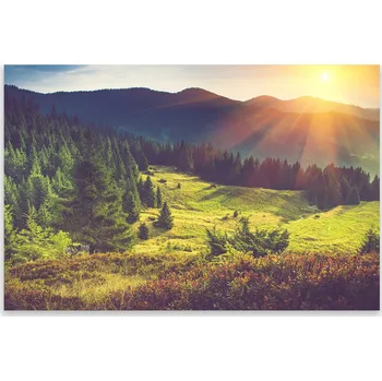 Kuchyňské prkénko Skleněná Ochranná Deska a Krájecí Prkénko | Indukce, Sporák ds-0383