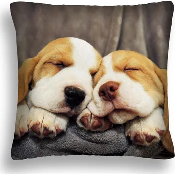 Polštář POVLAK NA PSÍ POLŠTÁŘ 08 POVLAK NA POLŠTÁŘ PRO DVĚ ŠTĚŇATA 40X40 PL