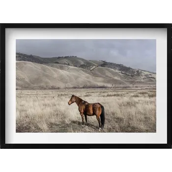 Obraz Dekorativní nástěnný obraz v rámu s grafikou Kůň – hřebec v trávě 70x50 cm