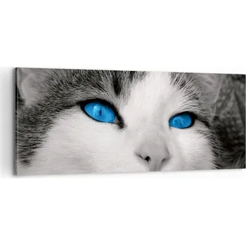 Obraz Foto obraz na plátně 100x40 zvířata obývací pokoj ložnice na zeď velký