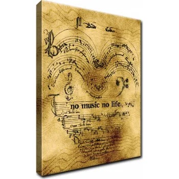Obraz FOTO OBRAZ do pokoje obýváku 50x60 No music no life