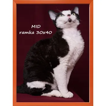 Obraz Rámeček na jednu fotografii Marek i Darek 40 x 30 cm