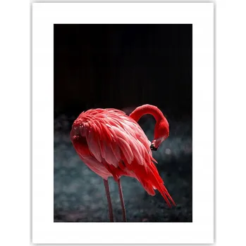 Obraz Obraz plakát do obýváku ložnice 30x40 plameňák plakáty na zeď bez rámu