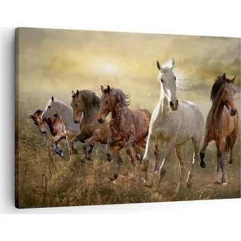 Obraz Obraz na plátně do obýváku, ložnice 70x50 zvířata foto obrazy na zeď