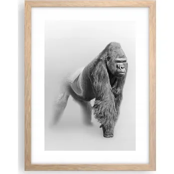 Obraz Obraz plakát v rámu světlý dub do obýváku 30x40 zvířata plakáty na zeď