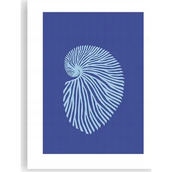 Obraz Obraz plakát do obýváku, ložnice 30x40 mušle, foto plakáty bez rámu