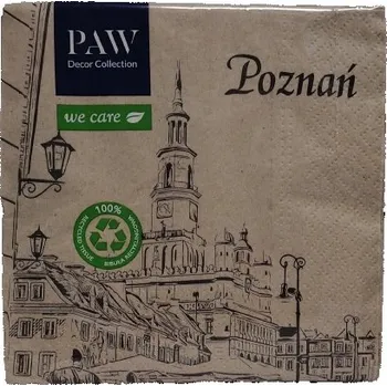 Papírový ubrousek Ubrousek čtvercový 33 cm x 33 cm