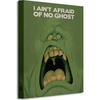 Obraz Krotitelé duchů Slimer Duch Obraz na plátně 30x40 cm