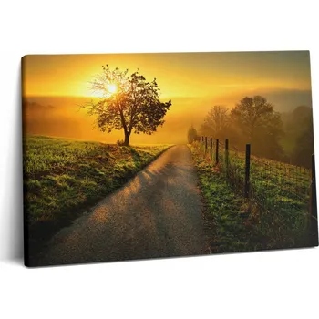 Obraz Obraz Na Plátně Krásný obraz do posilovny - mlha při východu slunce, 60x40 cm