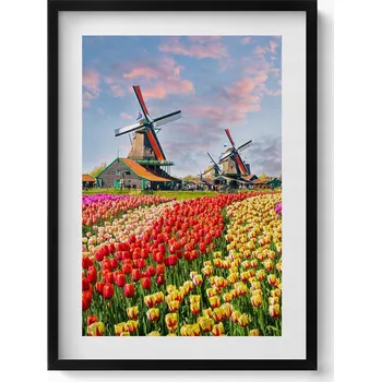 Obraz Obraz s rámem a grafikou na zeď Krajina s tulipány Holandsko 50x70 cm