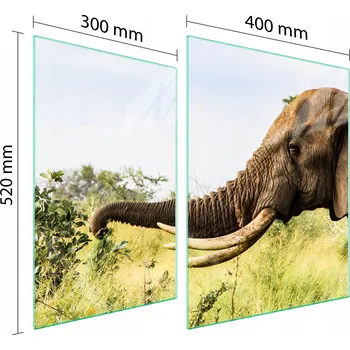 Obraz Krájecí deska TMK ArtDeko sklo 2 ks