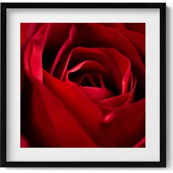 Obraz Dekorativní nástěnný obraz s grafikou Zblízka na červené okvětní lístky růže 50 x 50 cm