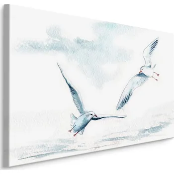Obraz Obraz Bílí ptáci rackové akvarel do obýváku 70x50