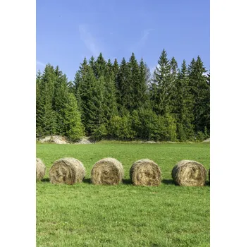 Obraz Plakát Stohy sena na travnatém poli bez rámu 29,7 x 42 cm