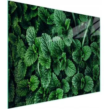 Kuchyňské prkénko Krájecí deska TMK ArtDeko sklo 1 ks