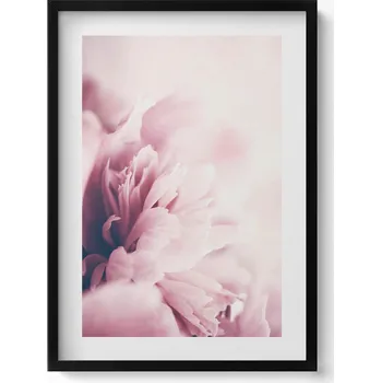 Obraz Dekorace, obraz s grafikou v krásném rámu - Detail pivoňkových lístků, 50x70 cm