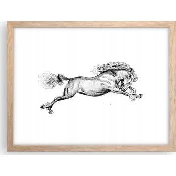 Obraz Obraz plakát v rámu světlý dub do obýváku 40x30 kůň foto plakáty na zeď