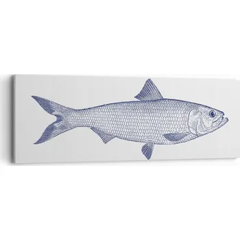Obraz Obraz na plátně do obýváku, ložnice 90x30 ryba foto obrazy na zeď canvas