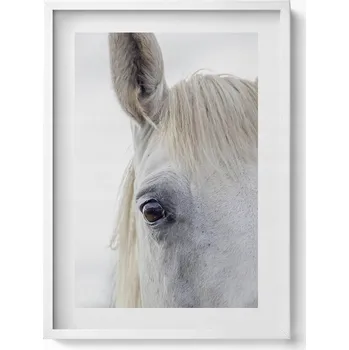 Obraz Dekorace obraz s grafikou v krásném rámu Hlava bílého koně 50x70 cm