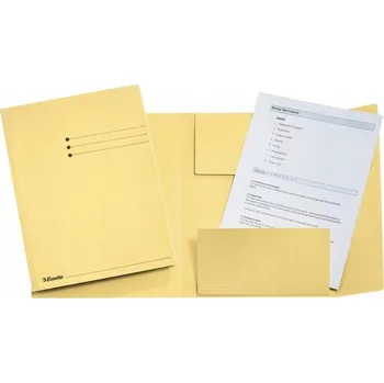 Pořadací složka A4 s přihrádkami Esselte