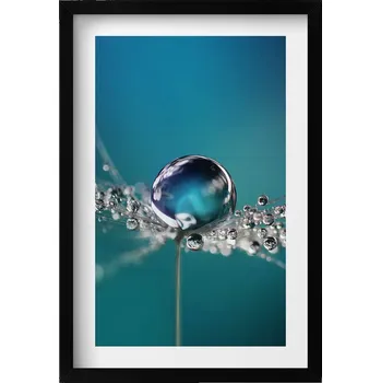 Obraz Obraz v černém rámu dekorace na zeď Kapka rosy na pampelišce 40x60 cm