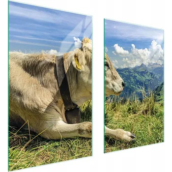 Obraz Krájecí deska TMK ArtDeko sklo 2 ks